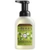 Mrs. Meyer's® Mrs. Meyer's Clean Day 662050 10 Oz. Apple Foaming Hand Soap - 6/Case -Rubbermaid shop 1917903